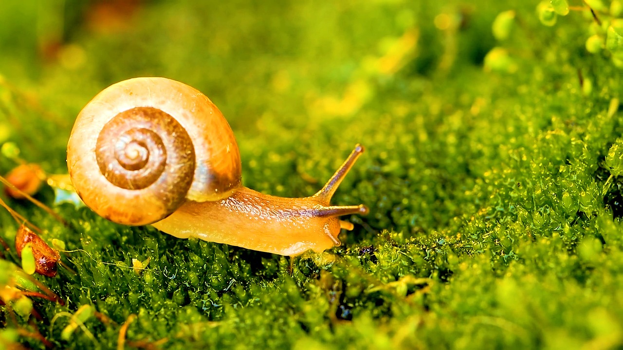 Come il siero Sdl Luxury sta cambiando la routine di bellezza delle star